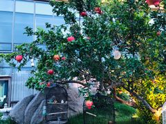 -悦融·京鲁菜·露台花园(安定门店)