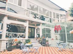 -有猫主题·治愈系猫咖(曾厝垵店)