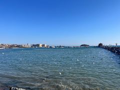 -青岛海滨风景区