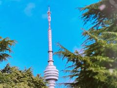 -龟山风景区-龟山电视塔