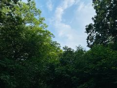 -北陵公园