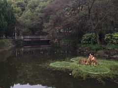 -叶家花园