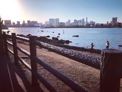-台场海滨公园船码头