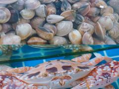 -三亚火车头万人海鲜广场