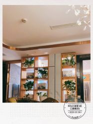 点击看大图 -SOLO Hair Salon