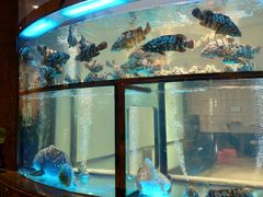 水产区-海都六福酒家(世博广场店)