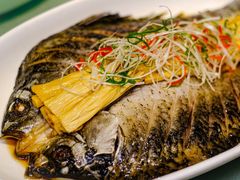 -一轩饺子馆(丽都店)