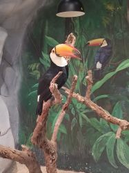 点击看大图 -Zoolung Zoolung动物主题公园(海信广场店)