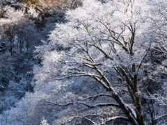 -陕西省红河谷森林公园