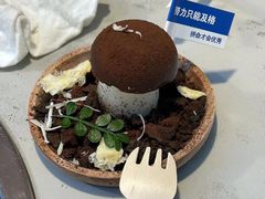 -大理董·董家小厨野生菌火锅(古城旗舰店)