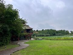 -东滩湿地公园观海楼餐厅