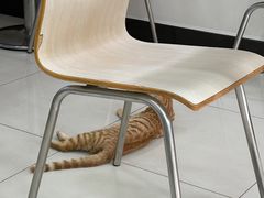 -拌来拌去石鍋拌飯(文鼎店)