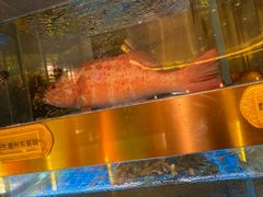 -ONE FULL 古董港式海鲜火锅