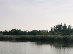 -西青郊野公园