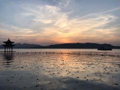 -西湖游船