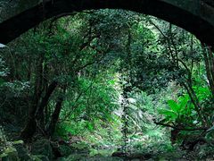-莆田南少林寺
