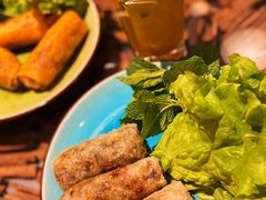 摇摇鸡-CYCLO(158坊店)