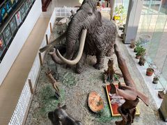 -中国第四纪冰川遗迹陈列馆