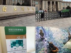 -国家自然博物馆