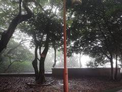 -普陀山风景区-佛顶山