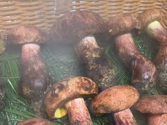 -一品滇香·云南菜(公益西桥店)