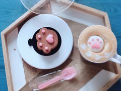 -喵屿·大理花园猫咖