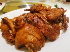 -丁老爷子苏香圆