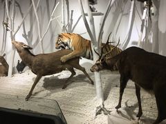 -南宫五洲植物乐园