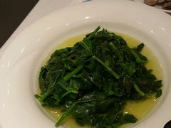 -碧丽宫大酒店(召稼楼店)