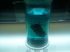 -青岛葡萄酒博物馆