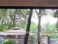 -蘇河湾·新鲁菜·泰山宴(泰山店)