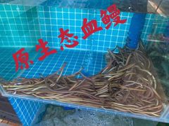 -欧记·龙城港(欣都店)