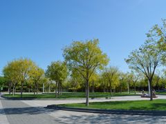 -天津东丽湖风景区