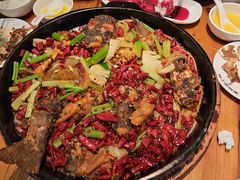 -老板恋上鱼(印象城店)
