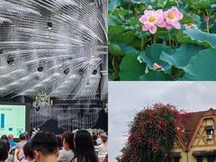 -成都南湖公园