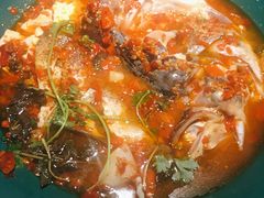 黄晓猫剁椒鱼头-黄晓猫剁椒大鱼头(海岸城店)