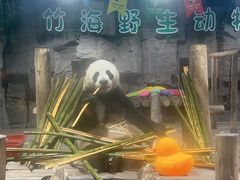 -栾川竹海野生动物园