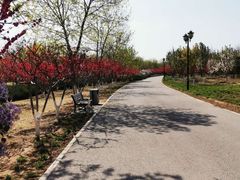 -永定河休闲森林公园