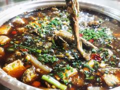 -葡萄园鱼庄(新津店)