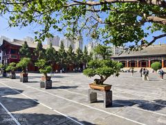 -西宁市东关清真大寺