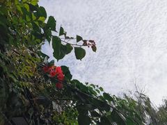 -八珍手工水饺·妈妈的爱(传芳巷店)
