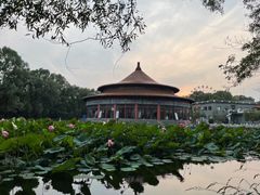 -二一九公园