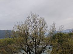 -蒋氏故居