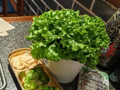 -佟爷·老北京炙子烤肉(动物园店)