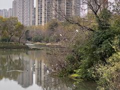-金山公园