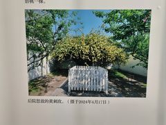 -北京鲁迅博物馆(北京新文化运动纪念馆鲁博馆区)