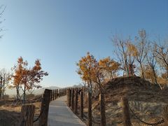 -白水寺森林公园