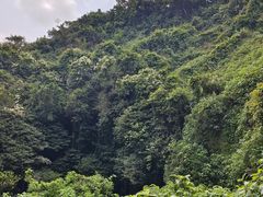 -海口火山口国家地质公园