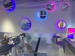 -极木²邸 人与宠物·互动社区