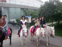 psu-三圣花乡旅游区